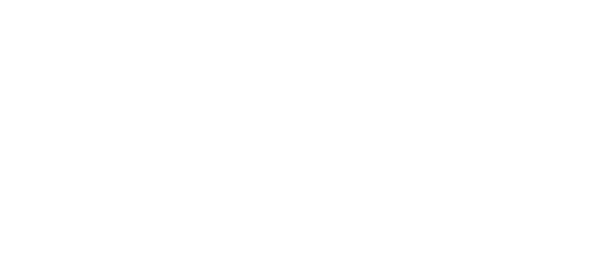 Logo_PNG_White